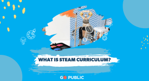 what is steam curriculum