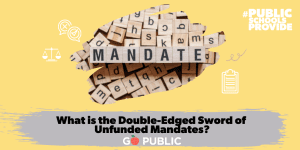 What are unfunded mandates?