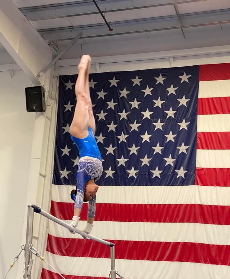 gymnastics state championship