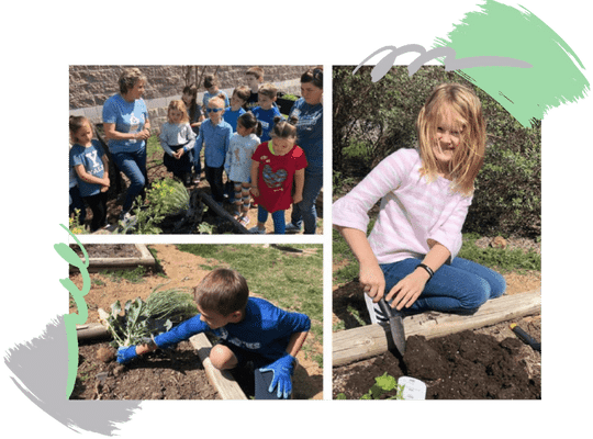 rooted root ed texas