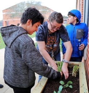 alvin isd garden cte
