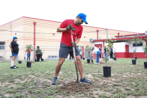 Frank Madla Elementary garden