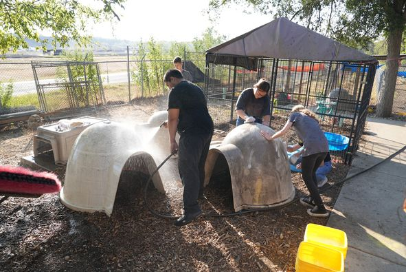 Judson JROTC student cleans dog houses