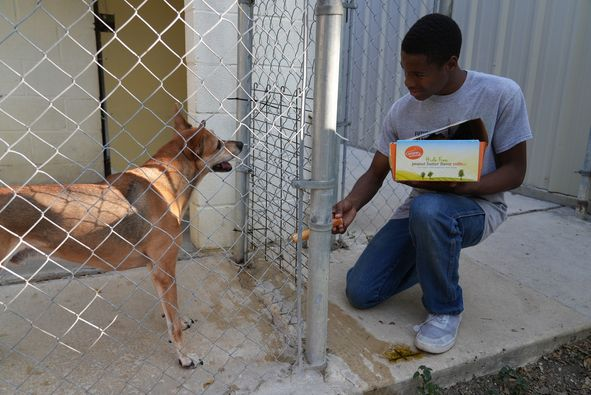 Judson JROTC student feeds dog