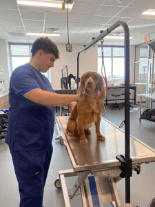 Inspiring CTE Programs