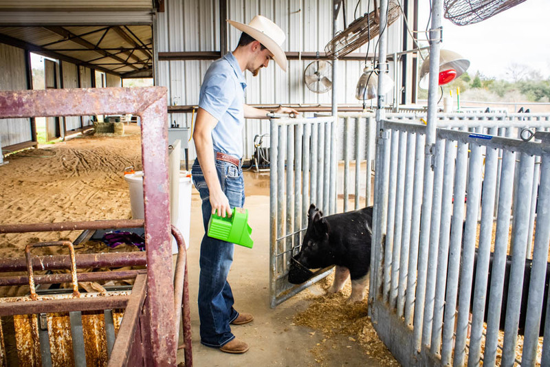 Hempstead ISD High School students showcased annual FFA Project Show.