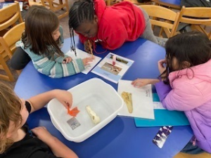 Schertz-Cibolo-Universal City ISD participating in interactive sessions to identify birds.