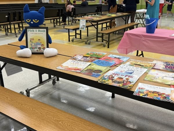Table full of books with a sign saying "Pick 1 Book".