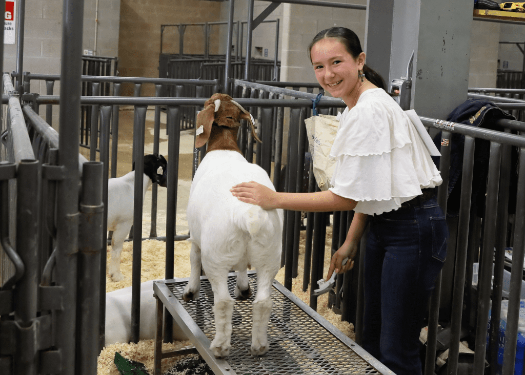 Kerrville Student Goat