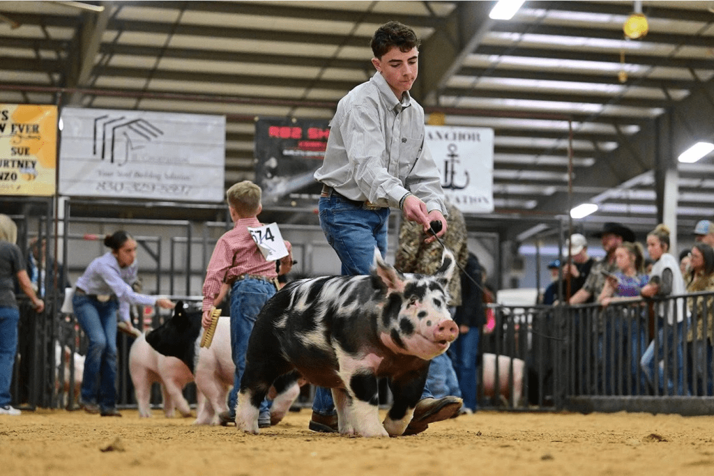 Kerrville Student FFA Showcase